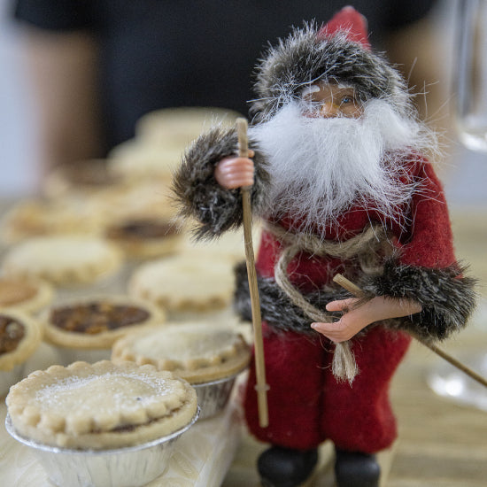 The Magical Christmas House