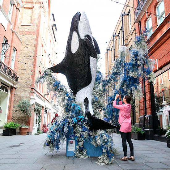 Spring in bloom - London