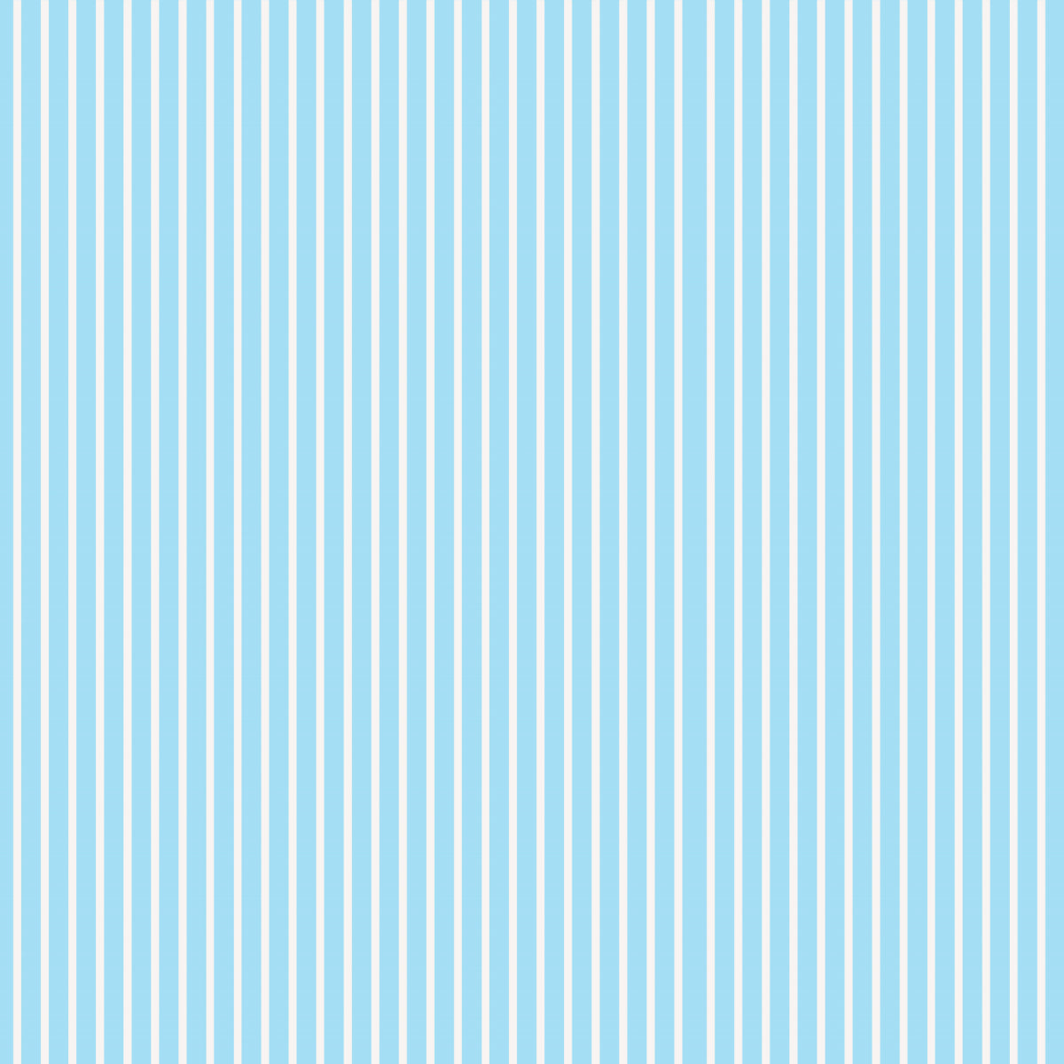 Rupert Boy Swim Shorts